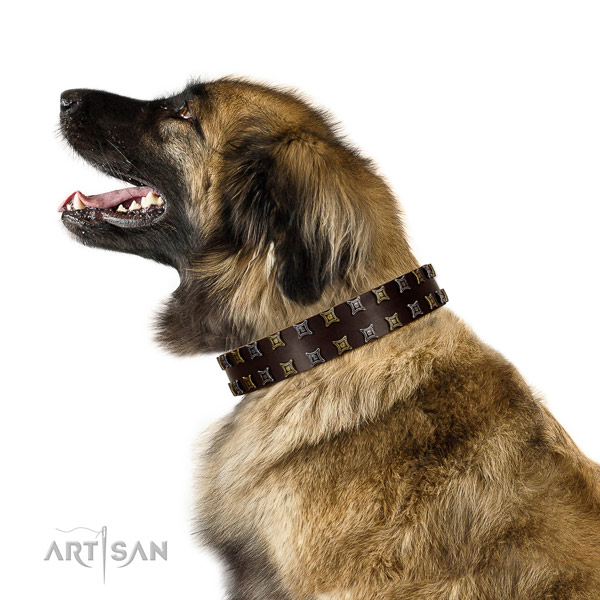 Strong full grain natural leather dog collar with decorations for your doggie