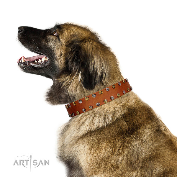 Everyday use best quality full grain genuine leather dog collar with studs