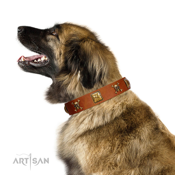 Stylish design genuine leather dog collar with reliable embellishments