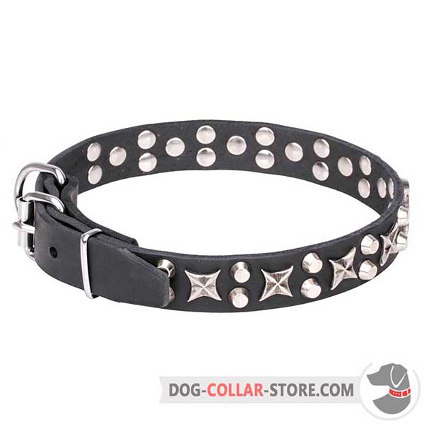 Leather Collar for walking, nickel plated fittings