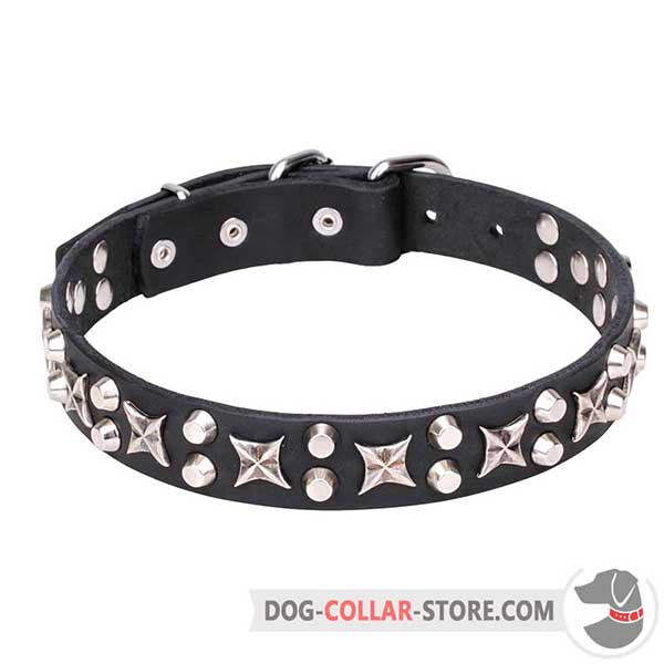 Leather Dog Collar with decorative stars and cones