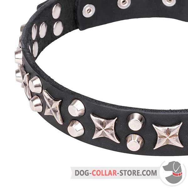 Nickel-plated Cones and Stars on Dog Collar