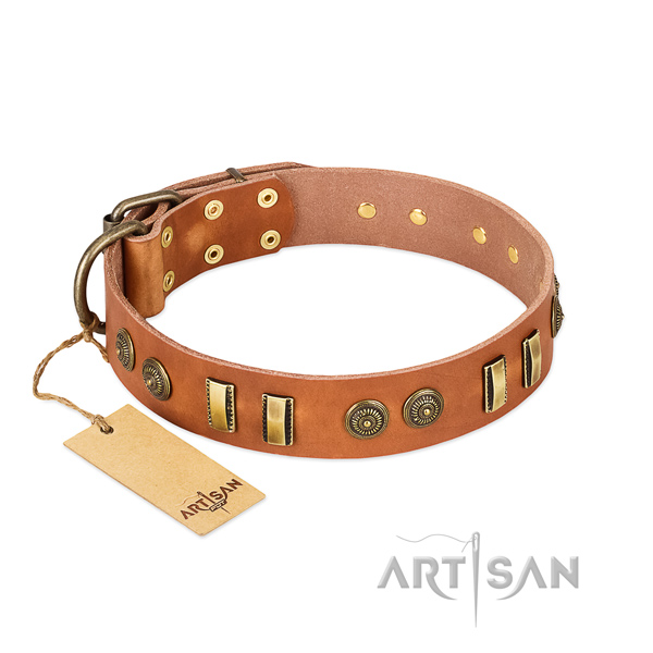 Reliable D-ring on genuine leather dog collar for your pet