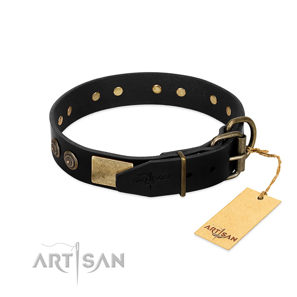 Strong studs on full grain leather dog collar for your canine