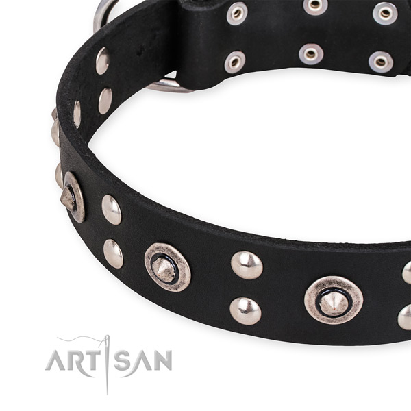 Natural leather collar with strong fittings for your attractive four-legged friend