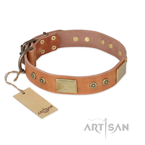 Adjustable full grain leather dog collar for stylish walking