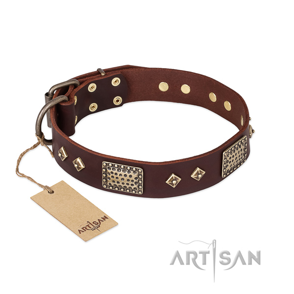 Studded full grain leather dog collar for comfy wearing