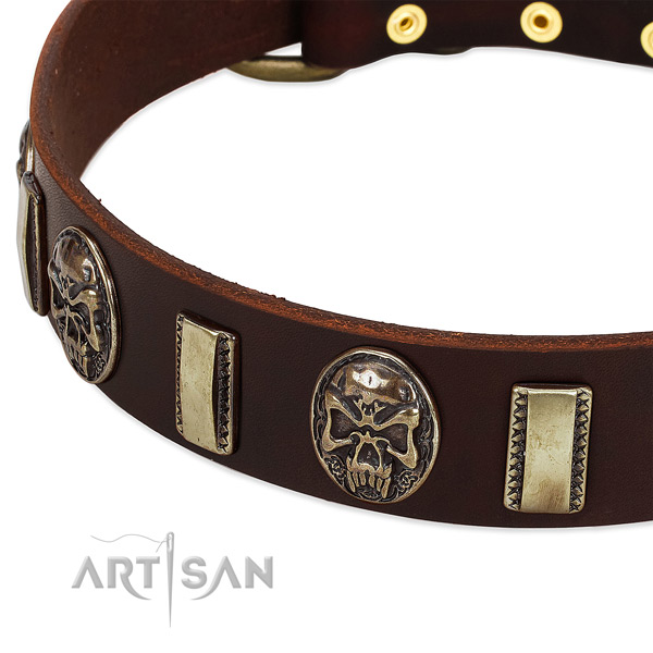 Strong fittings on full grain leather dog collar for your pet