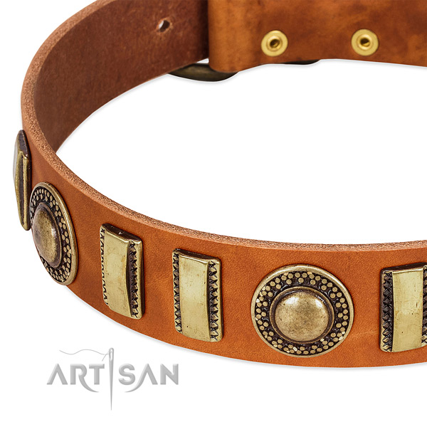 Strong full grain leather dog collar with rust resistant traditional buckle