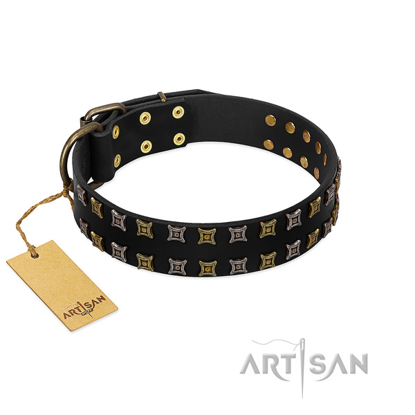 Top notch full grain genuine leather dog collar with embellishments for your four-legged friend