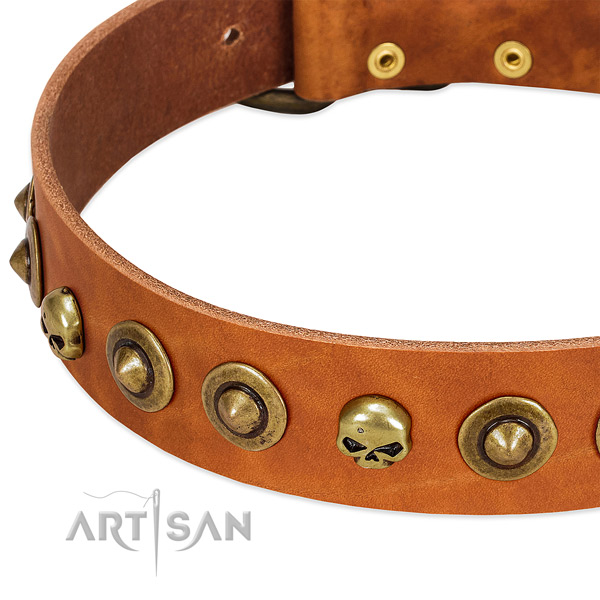 Exceptional embellishments on full grain leather collar for your pet