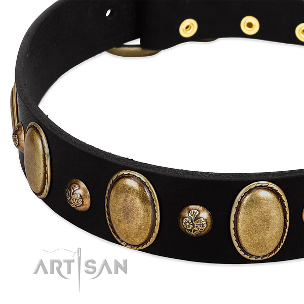 Natural leather dog collar with exquisite studs
