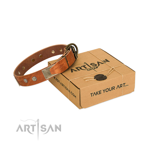 Rust-proof fittings on dog collar for comfortable wearing
