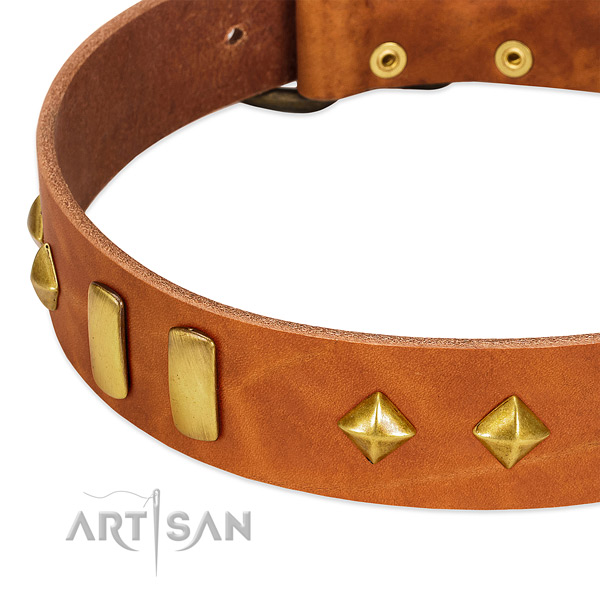 Everyday walking full grain natural leather dog collar with unique embellishments