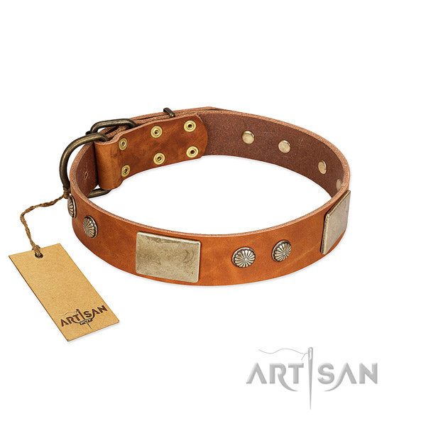 Easy to adjust full grain genuine leather dog collar for stylish walking your doggie