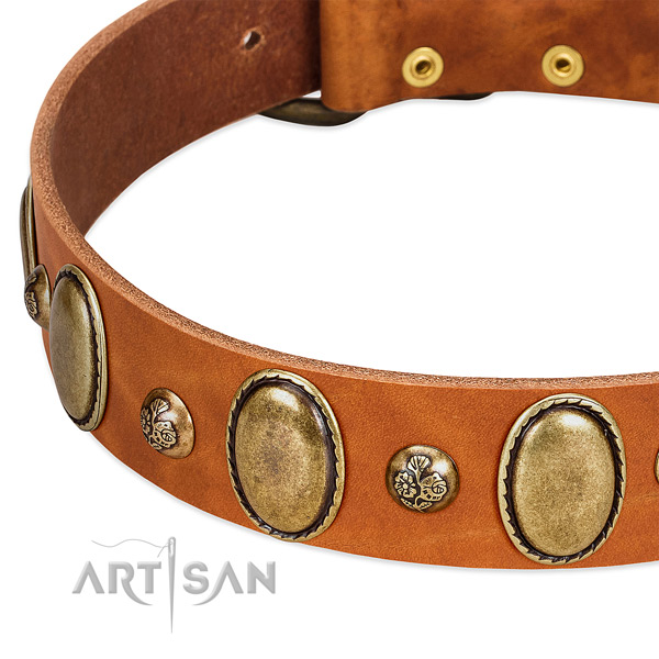 Full grain natural leather dog collar with remarkable decorations