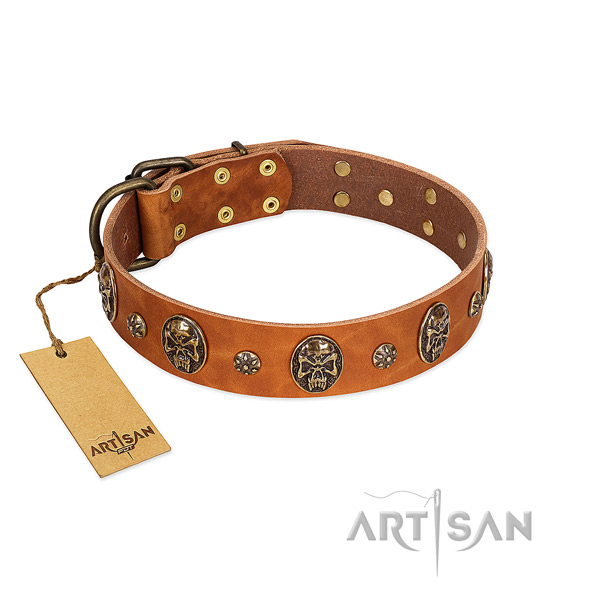 Top notch full grain natural leather collar for your four-legged friend