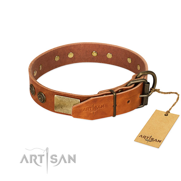 Rust-proof traditional buckle on full grain leather collar for walking your doggie
