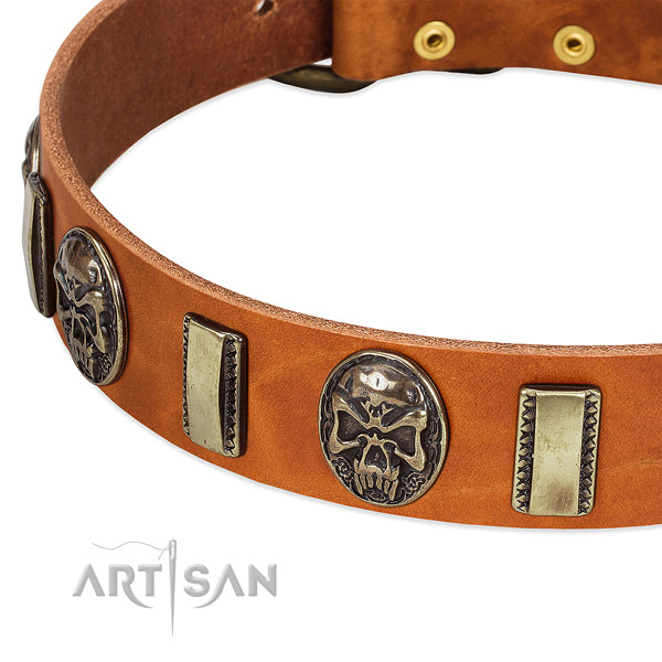 Strong studs on leather dog collar for your dog