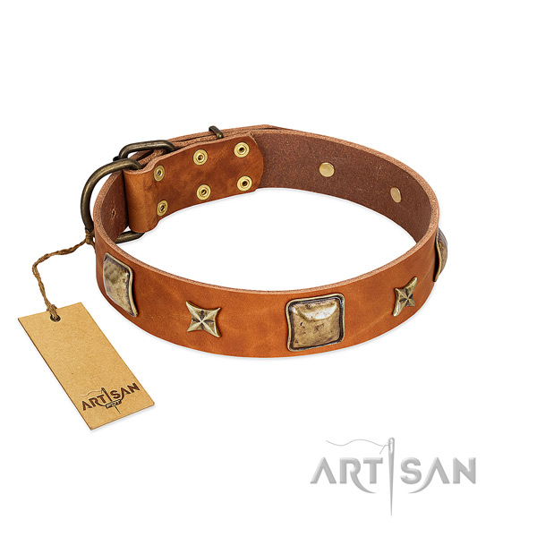 Significant full grain genuine leather collar for your four-legged friend
