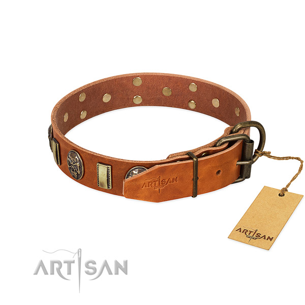 Corrosion resistant D-ring on full grain leather collar for fancy walking your canine