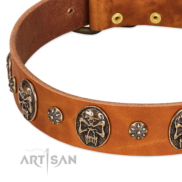 Strong studs on natural genuine leather dog collar for your dog