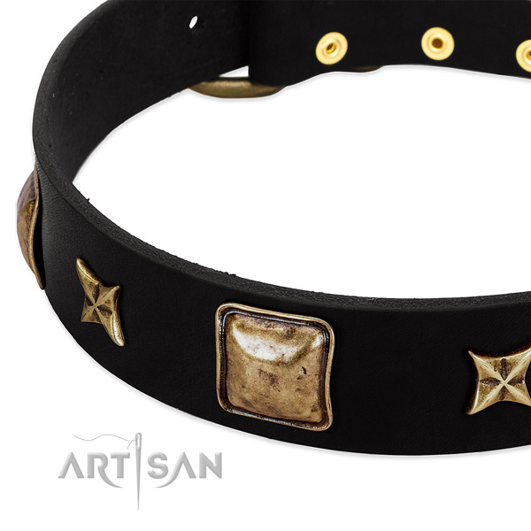 Leather dog collar with inimitable adornments