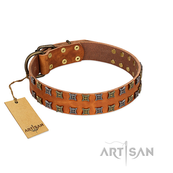 Strong leather dog collar with adornments for your canine