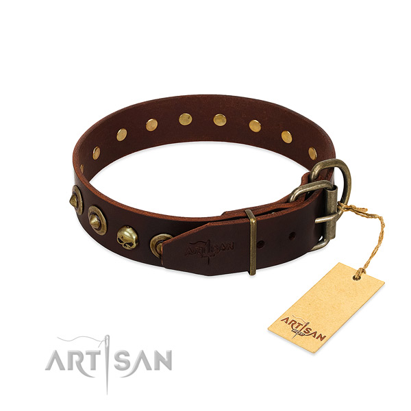 Natural leather collar with extraordinary adornments for your four-legged friend