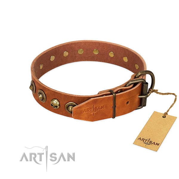 Genuine leather collar with remarkable decorations for your four-legged friend