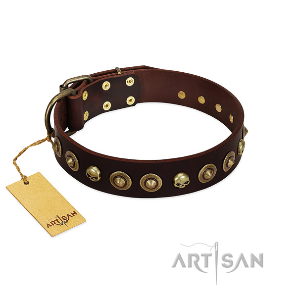 Leather collar with unusual studs for your four-legged friend