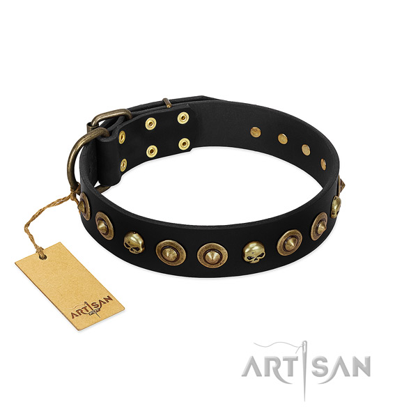 Leather collar with exceptional adornments for your pet