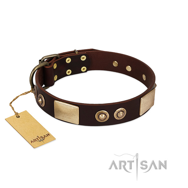 Easy to adjust leather dog collar for walking your pet