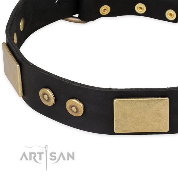 Rust-proof adornments on leather dog collar for your four-legged friend