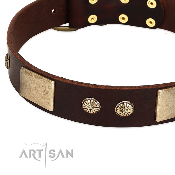 Rust-proof fittings on full grain leather dog collar for your doggie