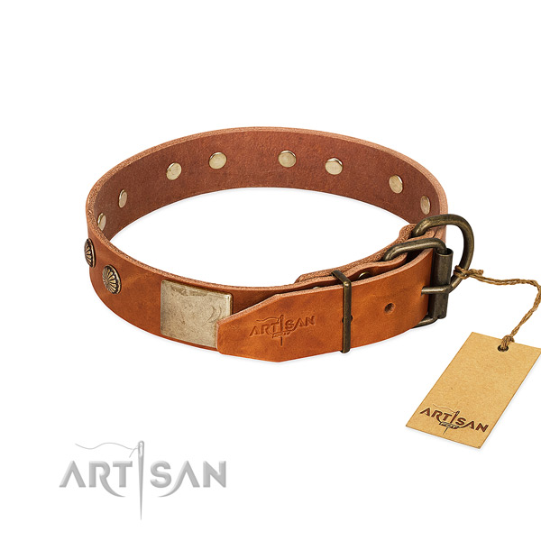 Rust-proof adornments on handy use dog collar