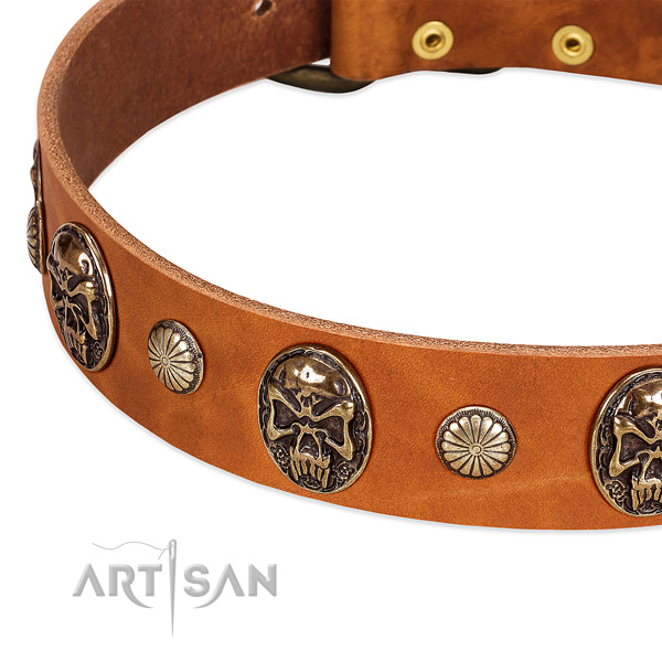 Rust resistant hardware on full grain genuine leather dog collar for your doggie
