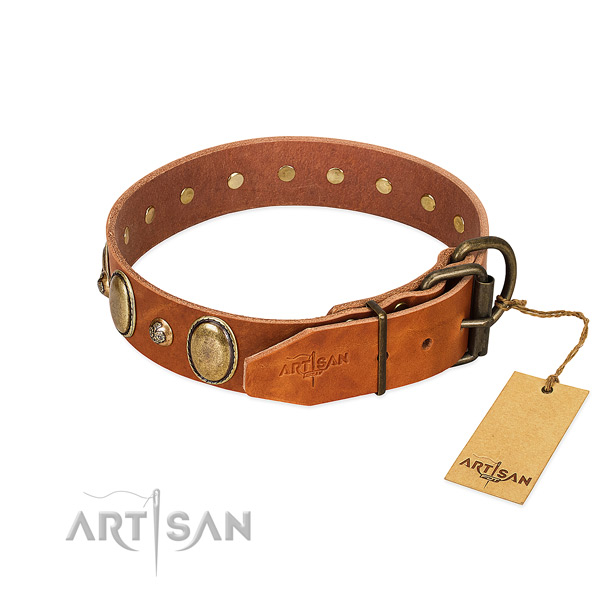 Handcrafted natural leather dog collar with rust-proof fittings