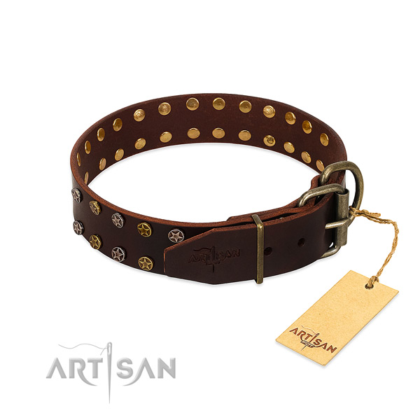 Handy use leather dog collar with incredible embellishments