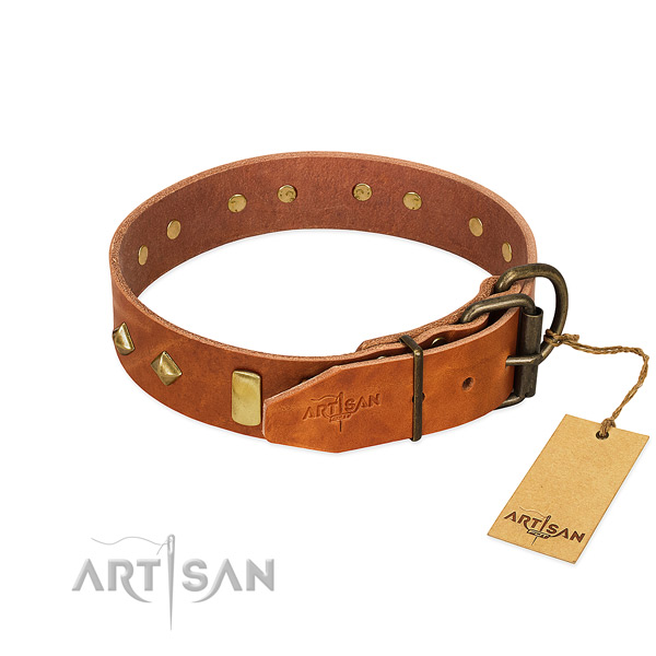 Daily use leather dog collar with top notch embellishments