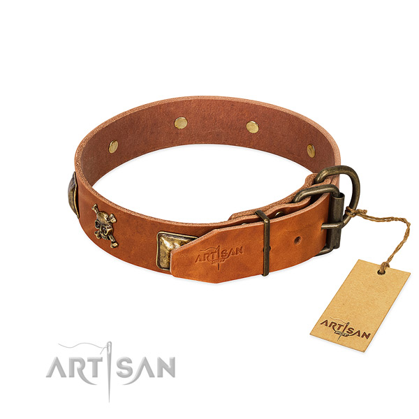 Impressive full grain natural leather dog collar with rust-proof studs