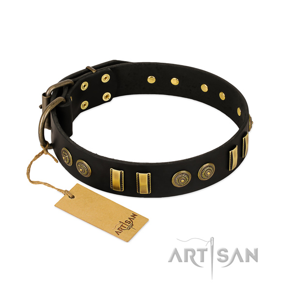 Corrosion proof embellishments on full grain leather dog collar for your pet