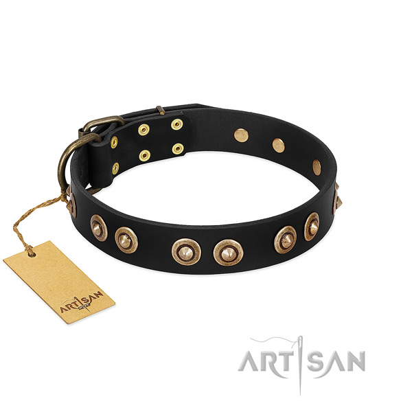 Strong studs on full grain genuine leather dog collar for your pet