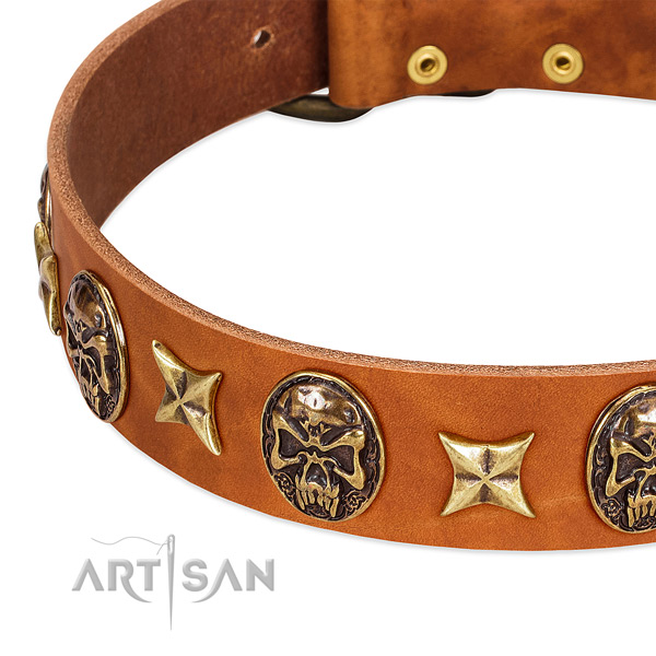 Rust-proof hardware on leather dog collar for your canine