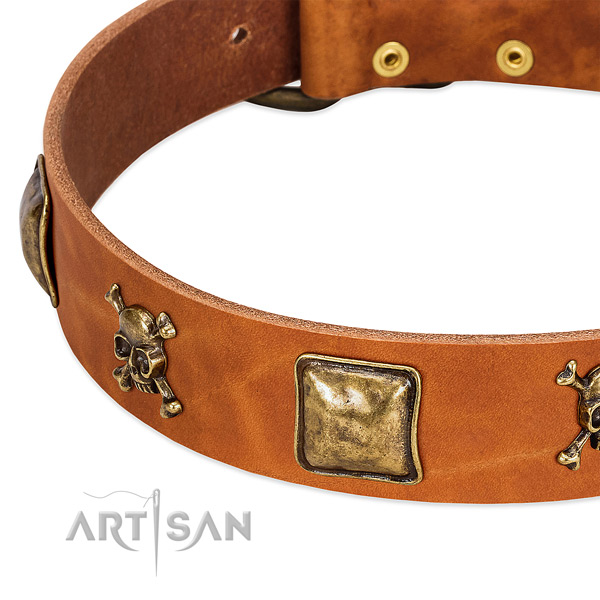 Amazing leather dog collar with reliable studs