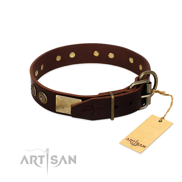 Durable embellishments on genuine leather dog collar for your canine
