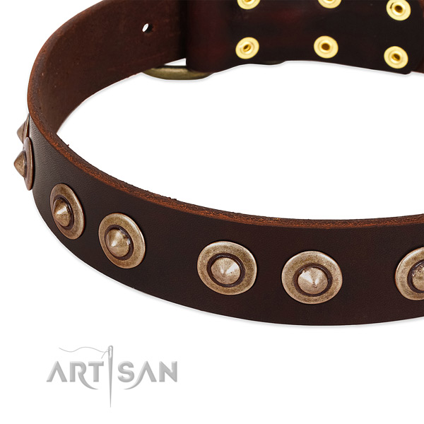 Corrosion resistant hardware on full grain leather dog collar for your four-legged friend