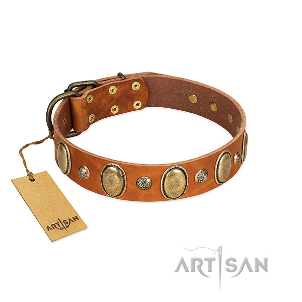 Full grain natural leather dog collar of top rate material with stunning adornments