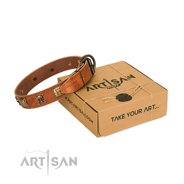 Stylish natural leather dog collar with rust-proof studs