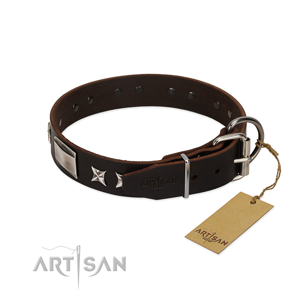 Trendy collar of full grain leather for your lovely pet